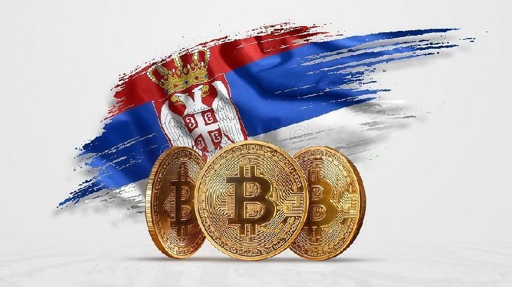 Власти Сербии намерены запустить платформу по отслеживанию криптотранзакций